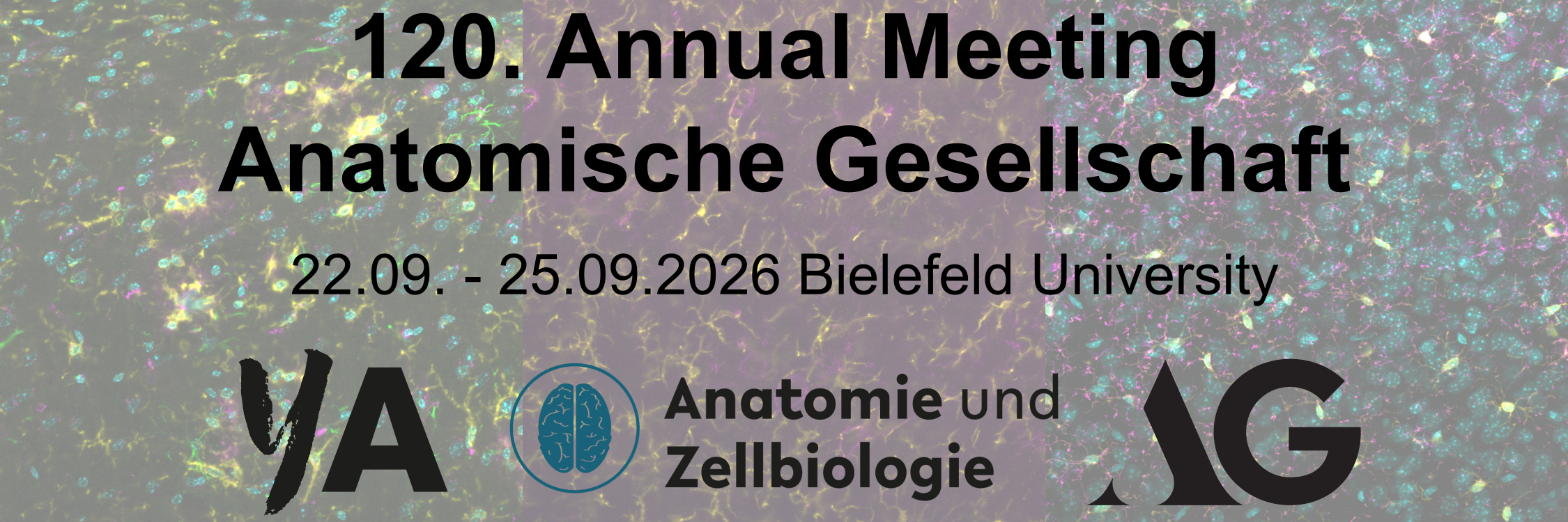 Header banner for the conference: 120. Annual Meeting Anatomische Gesellschaft. This goes from 22 September 2026 to 25 September 2026 in Bielefeld.